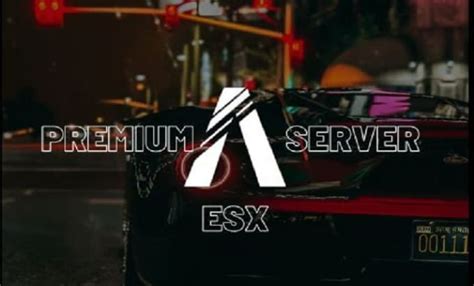 Create Professional Esx Fivem Server With Premium Scripts By Tho My