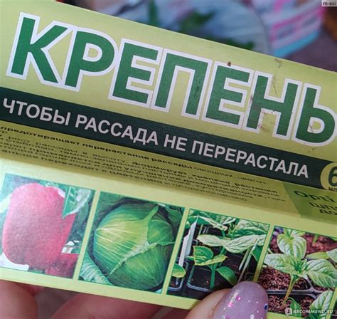 Регулятор роста растений "Крепень" для рассады - «Средство для рассады ...
