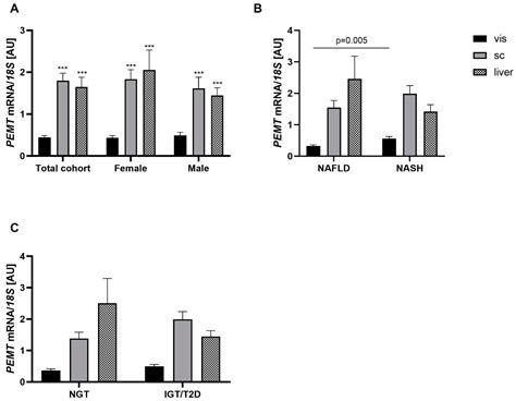 Ijms Free Full Text The Role Of Phosphatidylethanolamine N