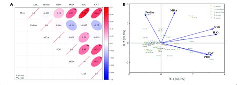 Pearson Correlation Coefficient A And Principal Component Analysis