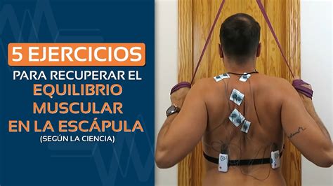 5 ejercicios de retracción escapular según la ciencia Recuperando