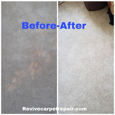 Bleach Spot Dye Repair Revive Carpet Repair Experts