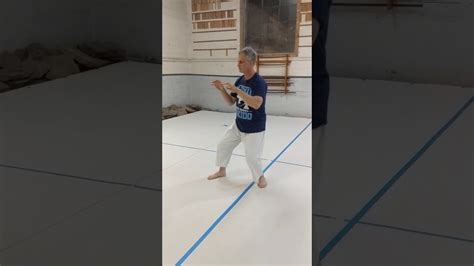 Tai Chi Chuan 37 Posture Form YouTube