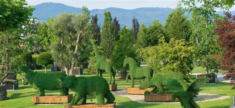 Cosa Sono Tutte Quelle Piante Storia Dei Vivai Di Pistoia Tuscany