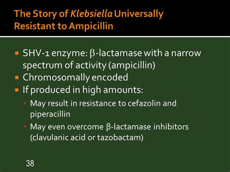 Antibiotics that cover klebsiella