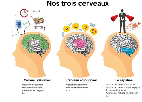 Principe Et Conseils D Utilisation Outils Oc Ans