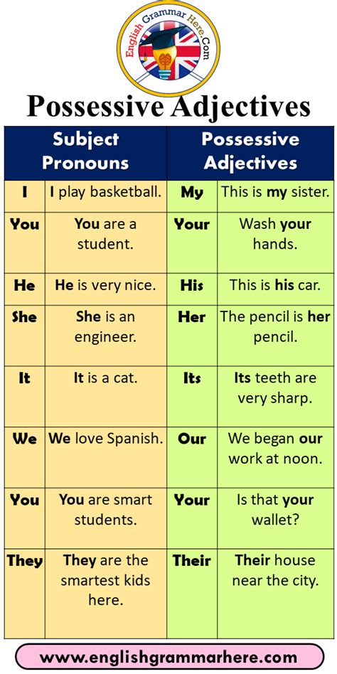 Possessive Adjectives Definition And Example Sentences Nbkomputer