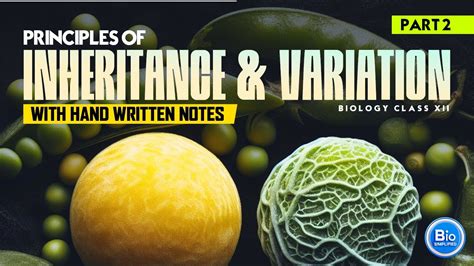 Principle Of Inheritance Variations Part Biology Class Xii