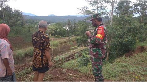 Babi Hutan Resahkan Petani Rembang