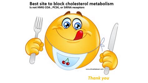 Ppt On Lipid Metabolism Dr S Venkatesan MD