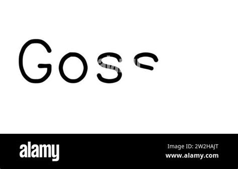 Gossip Handwritten Text Animation In Various Sans Serif Fonts And