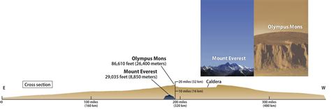 How did Olympus Mons get to be so tall? Is it because the gravity on ...