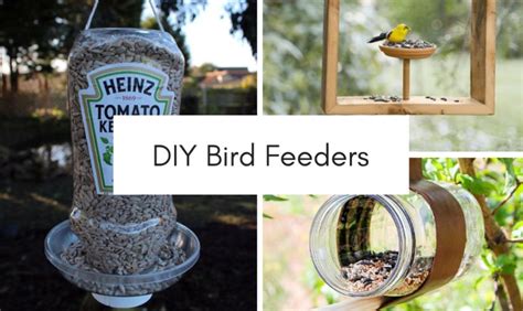 15 Easy Plans For Your Diy Bird Feeders Craftsonfire