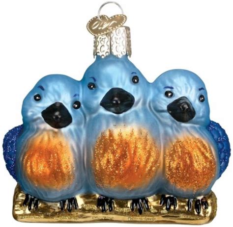 Old World Christmas Glass Blown Feathered Friends Ornament Kroger