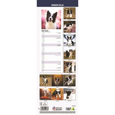 Border Collie Kalender Slimline Kopen Bestel Eenvoudig Online