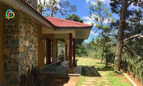 Best Resorts In Kuttikkanam: Relax In The Lap Of Nature!