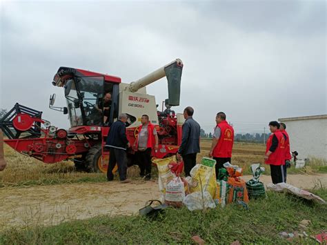 护航“三夏”丨成熟一片收割一片 禹州浅井镇引进收割机 抢抓雨停“空窗期” 大河网