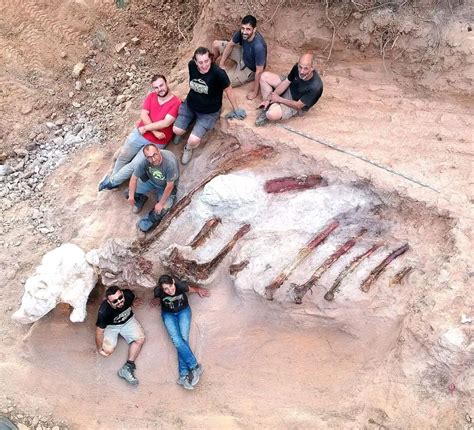 Huge Dinosaur Skeleton Unearthed In Portuguese Garden BBC News