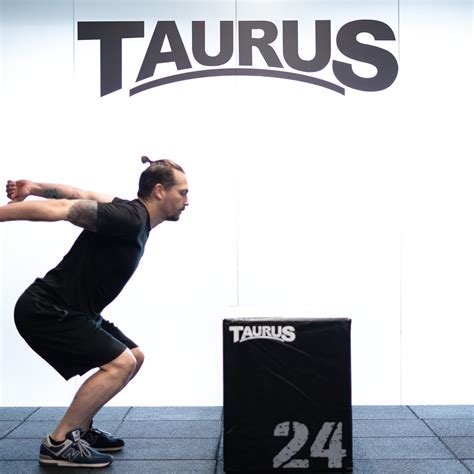 Taurus In Soft Plyo Box Shop Online Fitshop