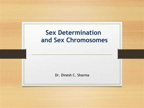 Sex Determination And Sex Chromosomes Ppt