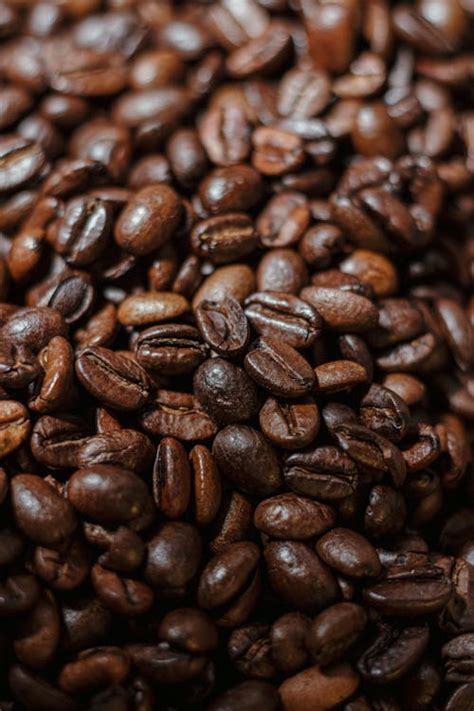 Dark Coffee Beans · Free Stock Photo