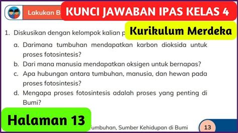 Kunci Jawaban Ipas Kelas 4 Sd Mi Halaman 13 Dari Mana Manusia Mendapatkan Oksigen Untuk