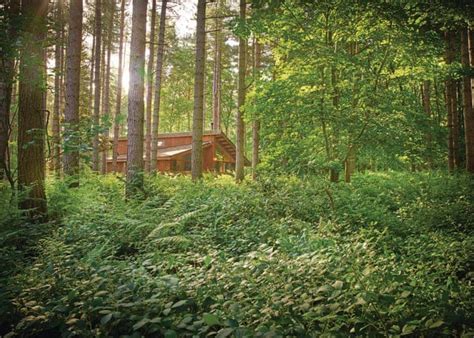 Sherwood Forest Lodges in Sherwood Forest, Nr Edwinstowe - Lodges ...