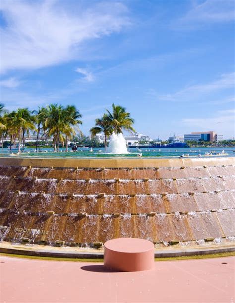 21 Fun Things To Do In Miami Florida Lonely Planet