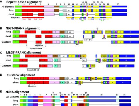 A Representative Map Of Sequence Alignments Based On Multiple Methods