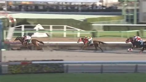 カペラステークス2023結果 競馬で生活する僕は