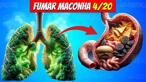 Isso Acontece No Seu Corpo Quando Voc Fuma Maconha Youtube