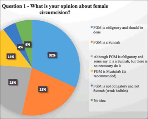 Majority of Islamic religious leaders pro FGM in Kermashan, Iranian Kurdistan: survey