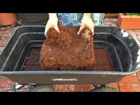 Coconut Coir Potting Mix Recipe - Coir, Compost, Perlite or Vermiculite | Potting mix, Coir ...