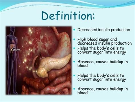 Insulin Definition Structure And Function Of Insulin Secretion