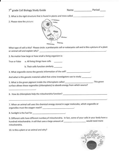 Th Grade Life Science Worksheets