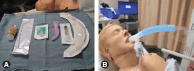 Fiber Optic Intubation Anesthesia Key