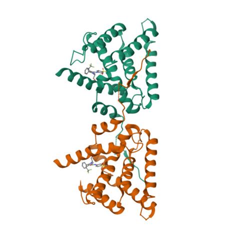 RCSB PDB 6L88 Crystal Structure Of Mineralocorticoid Receptor Ligand