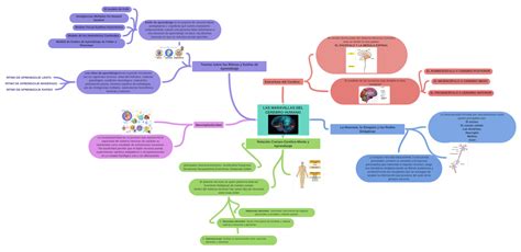 Las Maravillas Del Cerebro Humano Cerebro Arbol 1 Coggle Diagram