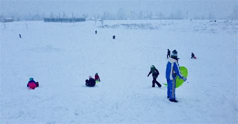 Snow day—Spots to go sledding ~ West Seattle Adventures