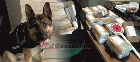 Maxi Sequestro A Pompei 23 Kg Di Hashish Avrebbero Fruttato 250mila Euro