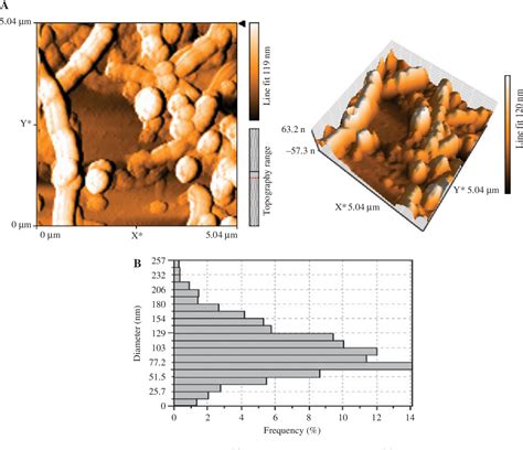 Figure 1 From Investigating The Properties Of Maleated Polylactic Acid And Its Effect On Poly