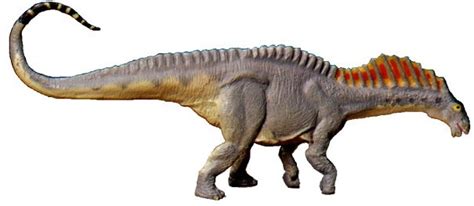 Amargasaurus Pictures & Facts - The Dinosaur Database