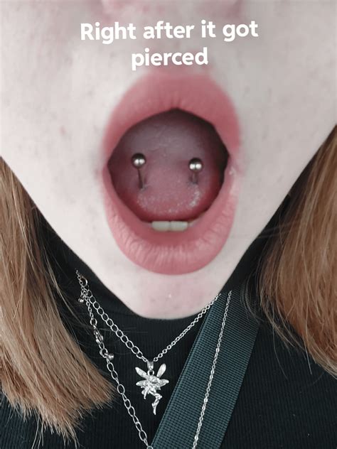 Update 4 Week Old Venom Piercing R Piercing