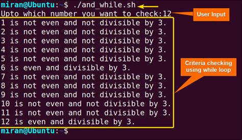 Usage Of Logical And Andand Operator In Bash Scripting Linuxsimply