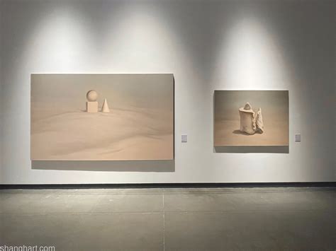 和美共生——第三届中国新疆国际艺术双年展 Yan Bing