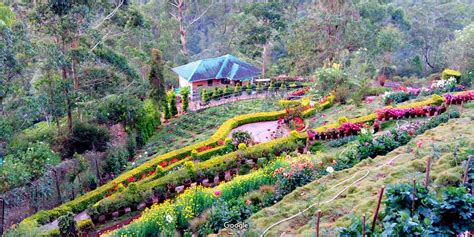 Floriculture Centre Munnar Timings History Entry Fee Images