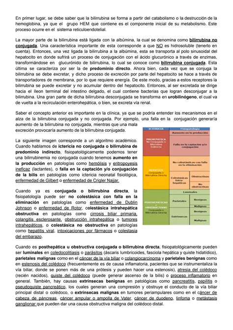 SOLUTION Patolog A Hep Tica Quir Rgica Ictericia Obstructiva Studypool