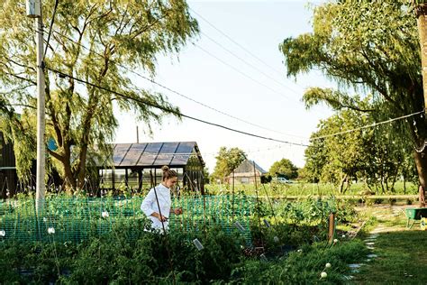 Bika Farm And Cuisine Sustainable Fare With Turkish Flair