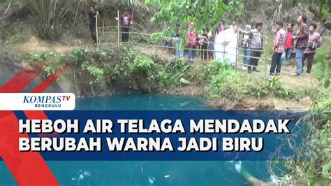 Heboh Air Telaga Ditengah Perkebunan Sawit Mendadak Berubah Warna Jadi