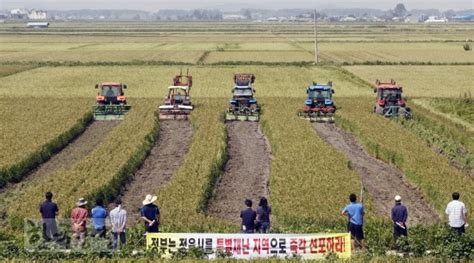 ‘자식같은 논 갈아엎는 성난 농심